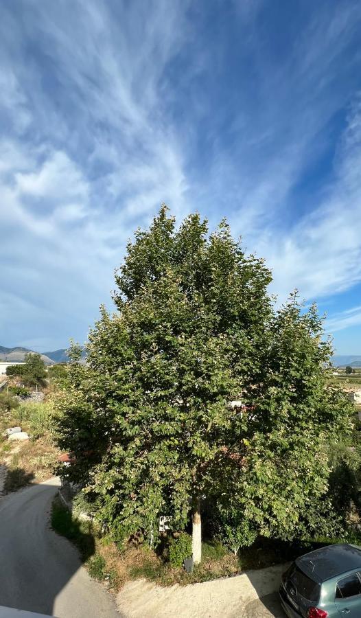 Astoria Rooms Sarandë 外观 照片
